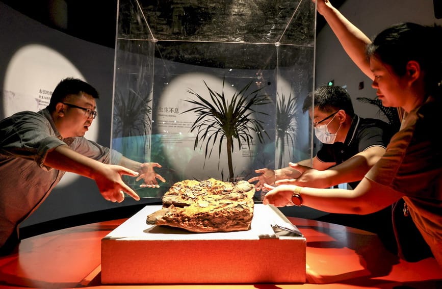 中国恐龙大展在上海开幕