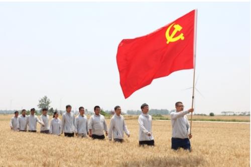 党建赋能   潍柴雷沃助推农业现代化“加速跑”