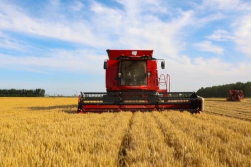 龙头引领 潍柴雷沃让这个三夏有AI更有爱​