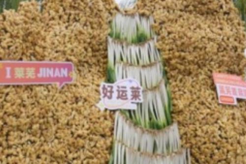 2025中国•济南(莱芜)第十二届国际姜产业博览会开幕